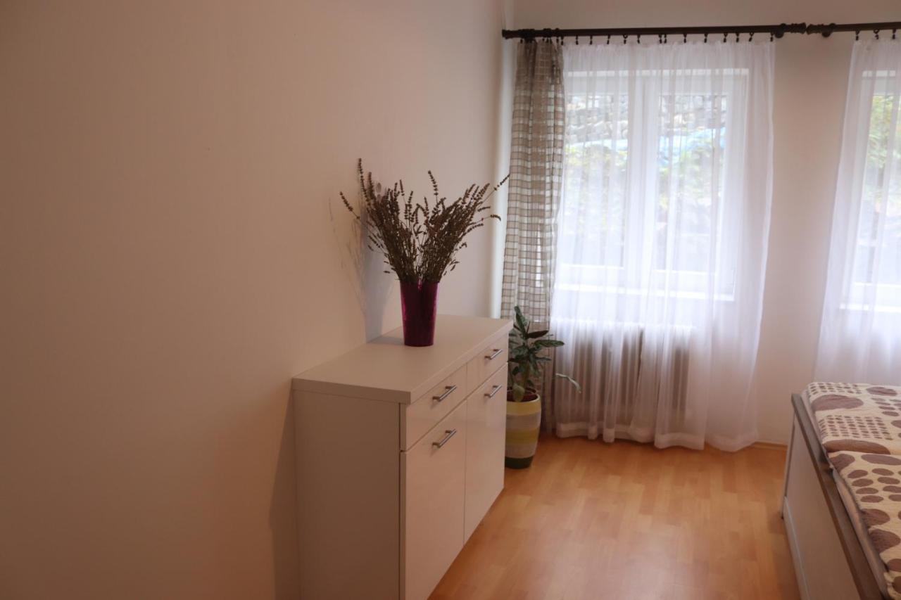 Apartman 825 Jáchymov Kültér fotó